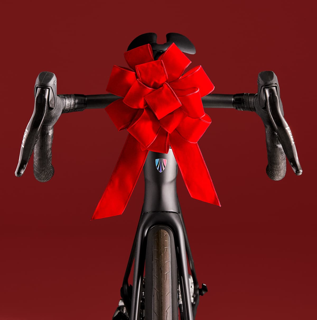 Front profile of a black Trek bike with a large red bow in front